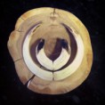 /album/bildgalleri/betar-jpg/