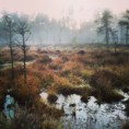 /album/bildgalleri/torvmosse-jpg/